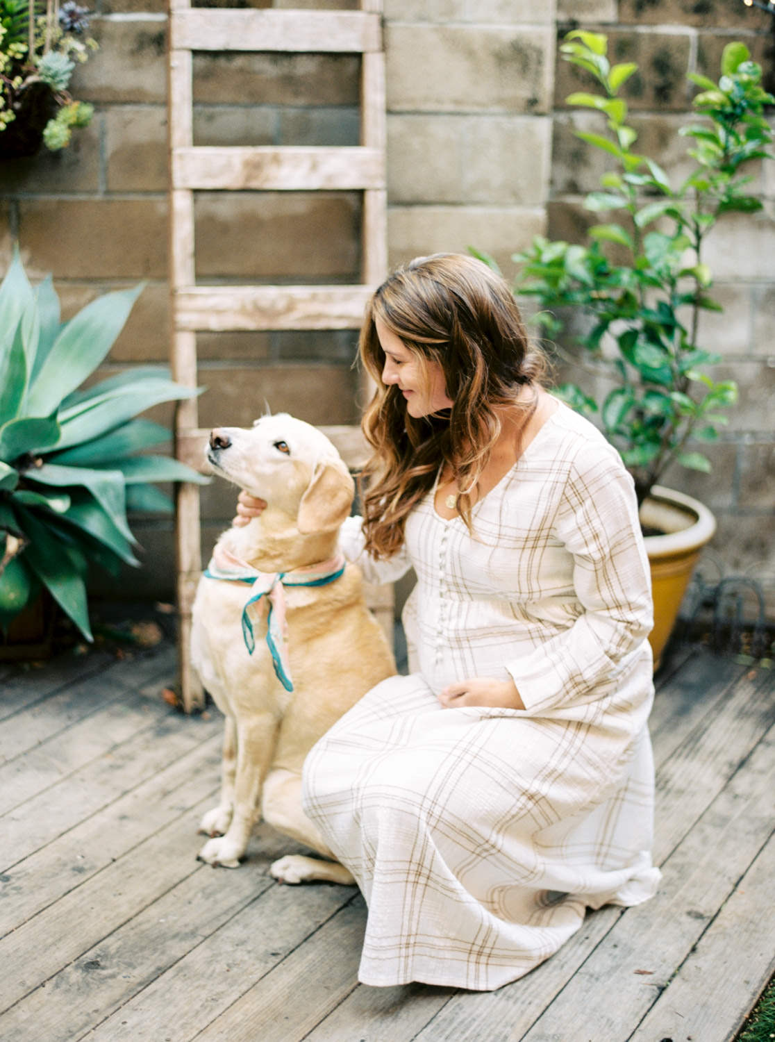 Maternity photo with Dog